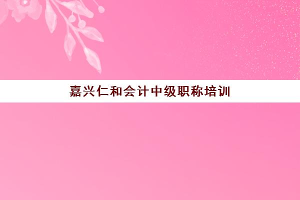 嘉兴仁和会计中级职称培训确认现场确认时间是几点？2025年最新时间安排与确认流程全指南
