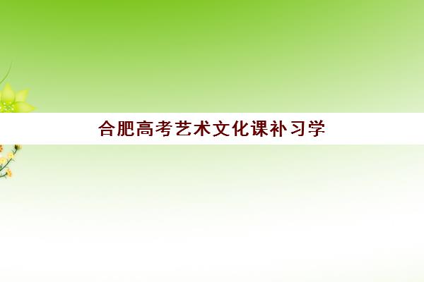 合肥高考艺术文化课补习学校公布时间2025年如何查询？最新时间表、择校策略与备考指南全解析