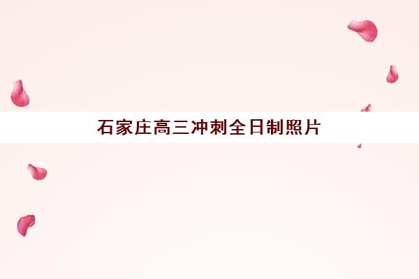 石家庄高三冲刺全日制照片要求是什么样的？2025年最新照片规格、背景选择及上传全流程指南