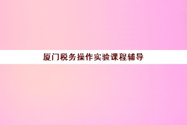 厦门税务操作实验课程辅导机构有哪些学校好？2025年最新权威排名与科学择校全攻略指南