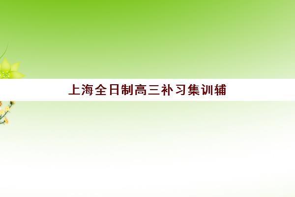 上海全日制高三补习集训辅导培训机构有哪些？2025年最新排名与择校指南