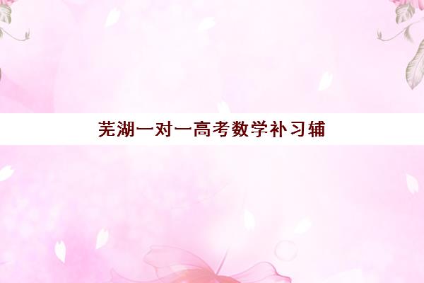 芜湖一对一高考数学补习辅导机构排名前三名如何选择？2025年最新权威榜单、各机构特色对比与择校全指南