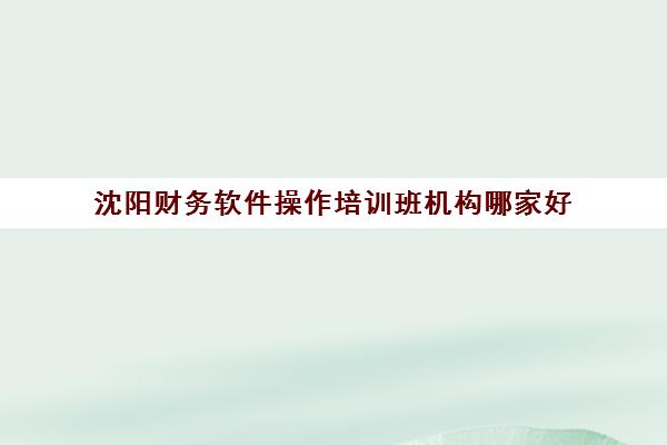 沈阳财务软件操作培训班机构哪家好(实力排名)？最新权威榜单解析、择校标准与成功案例全攻略