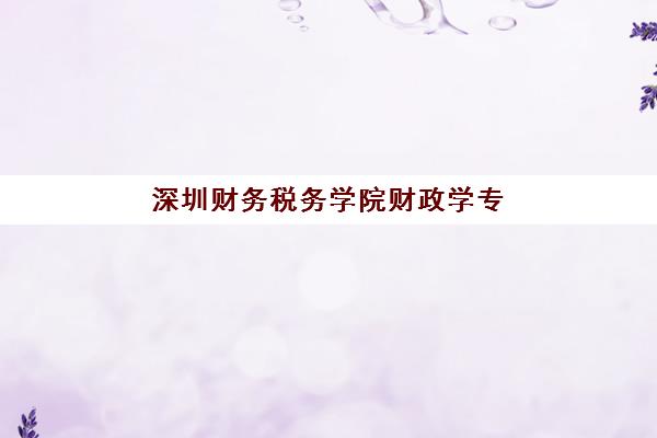 深圳财务税务学院财政学专业在职研预报名考点有哪些地方？2023年最新考点分布、报名流程与选择指南全解析