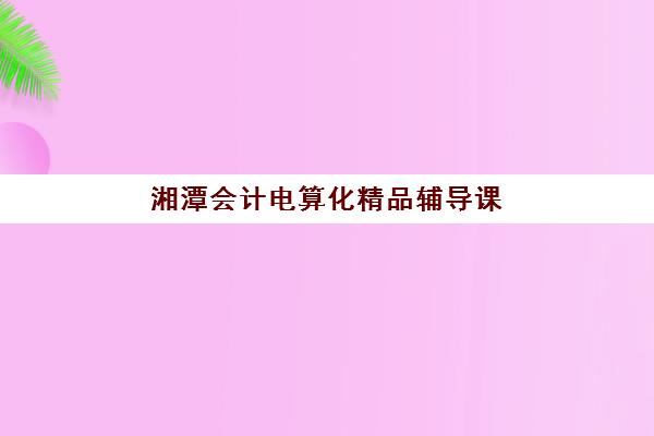 湘潭会计电算化精品辅导课程培训机构哪家强些？2025年最新排名前十、各机构特色解析与科学选择全指南