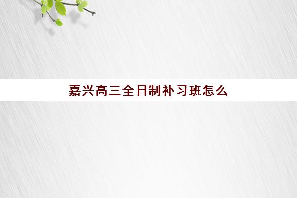 嘉兴高三全日制补习班怎么选？2025年机构服务竞争力详析与择校指南
