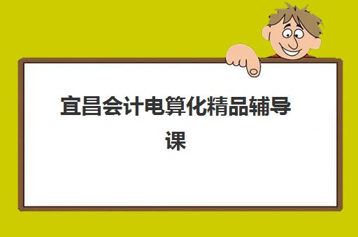 宜昌会计电算化精品辅导课程机构核心竞争力对比如何评估？2025年权威机构优势分析与科学选择全攻略