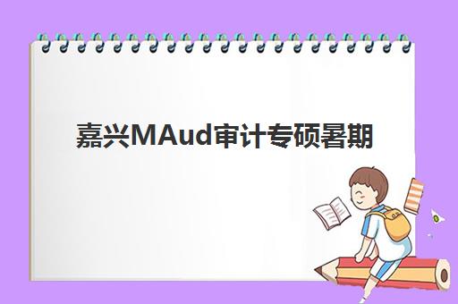 嘉兴MAud审计专硕暑期集训课程辅导培训机构哪家好？2025年最新权威排名与择校全指南
