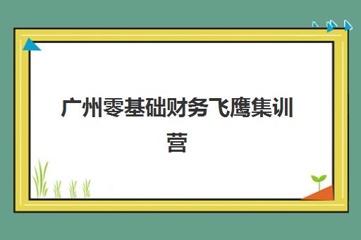广州零基础财务飞鹰集训营培训班哪个最好一点？2025年最新权威排名与科学择校全攻略指南
