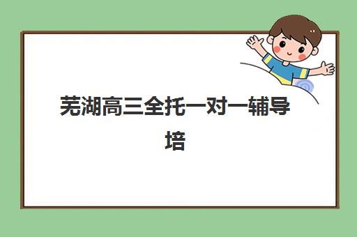 芜湖高三全托一对一辅导培训机构哪家好？2025年最新排名、各机构课程特色与科学择校指南