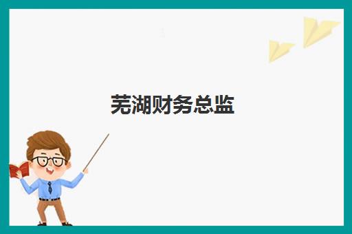芜湖财务总监(CFO)五大机构用户推荐榜，2025年权威测评与选择指南
