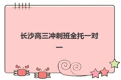 长沙高三冲刺班全托一对一培训机构有哪些地方？2023年权威地址清单、区域选择与择校指南全解析
