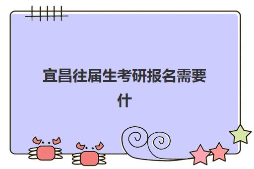 宜昌往届生考研报名需要什么？2026年报考点材料清单与避坑指南