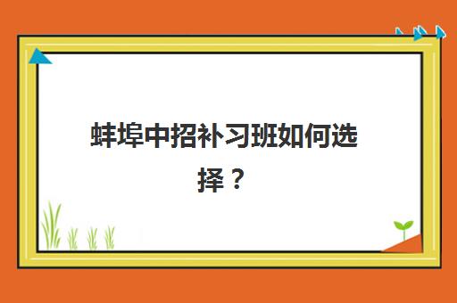 蚌埠中招补习班如何选择？2025年十大高满意度机构测评与择校全指南
